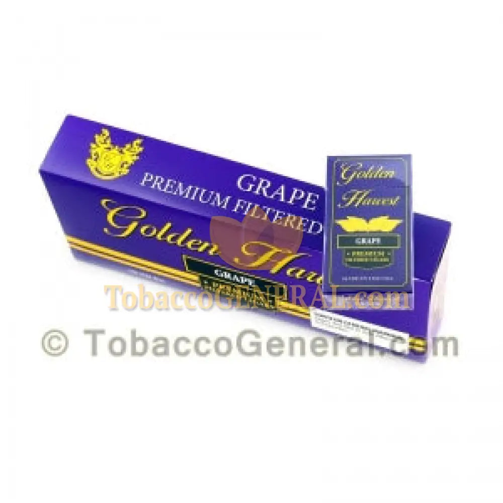 Golden Harvest Grape Filtered Cigars 10 Packs of 20
