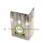 Cusano Cafe Robusto M1 Cigars Pack of 20 - Dominican Cigars
