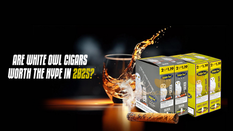 Are White Owl Cigars Worth the Hype in 2025? Let’s find out!