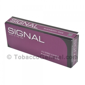 Signal Blackberry Filtered Cigars 10 Packs of 20